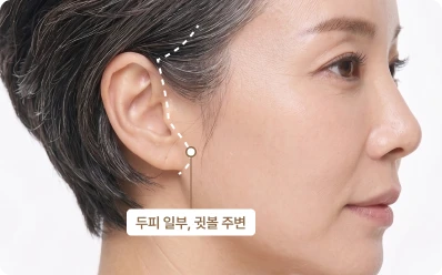 미니 거상 일러스트